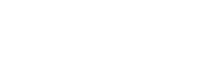 P9S Logo